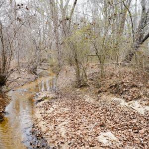 Photo #42 of 4031 Marion Road, Chatham, VA 100.0 acres