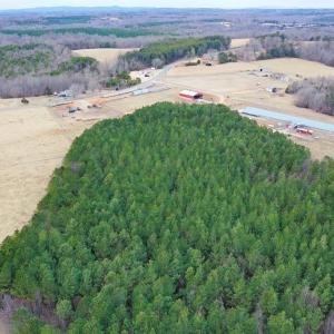 Photo #45 of 4031 Marion Road, Chatham, VA 100.0 acres