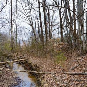 Photo #47 of 4031 Marion Road, Chatham, VA 100.0 acres