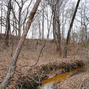 Photo #48 of 4031 Marion Road, Chatham, VA 100.0 acres