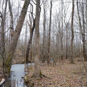 Photo #49 of 4031 Marion Road, Chatham, VA 100.0 acres