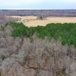 Photo #50 of 4031 Marion Road, Chatham, VA 100.0 acres