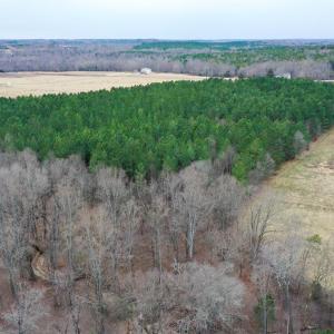 Photo #51 of 4031 Marion Road, Chatham, VA 100.0 acres