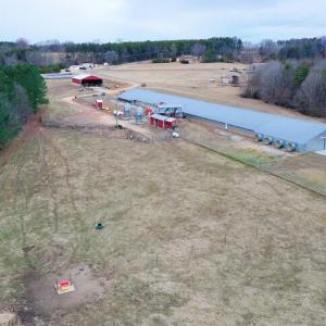 Photo #6 of 4031 Marion Road, Chatham, VA 100.0 acres