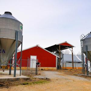 Photo #8 of 4031 Marion Road, Chatham, VA 100.0 acres