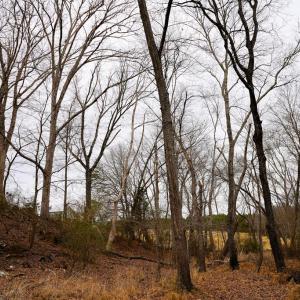 Photo #38 of 4031 Marion Road, Chatham, VA 100.0 acres