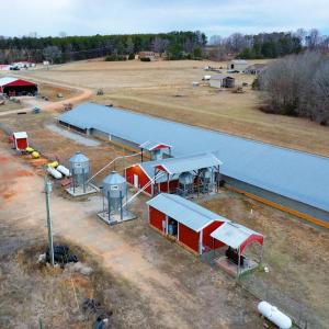 Photo #9 of 4031 Marion Road, Chatham, VA 100.0 acres