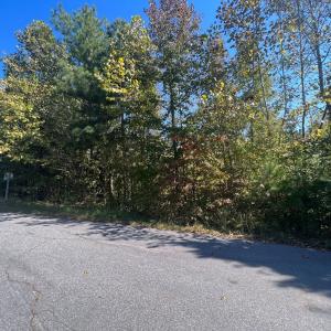 Photo #2 of 12 Booth St, Farmville, VA 1.1 acres