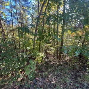 Photo #3 of 12 Booth St, Farmville, VA 1.1 acres