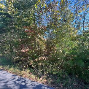 Photo #4 of 12 Booth St, Farmville, VA 1.1 acres