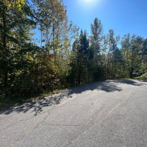 Photo #5 of 12 Booth St, Farmville, VA 1.1 acres