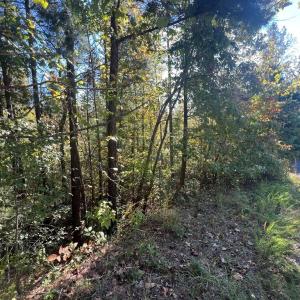 Photo #6 of 12 Booth St, Farmville, VA 1.1 acres