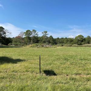 Photo #2 of Lot 55B BACK CREEK RD, HACKSNECK, VA 1.7 acres