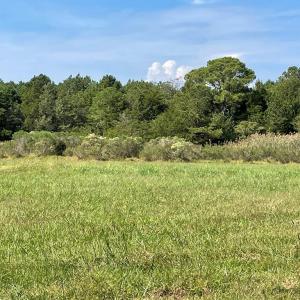 Photo #3 of Lot 55B BACK CREEK RD, HACKSNECK, VA 1.7 acres