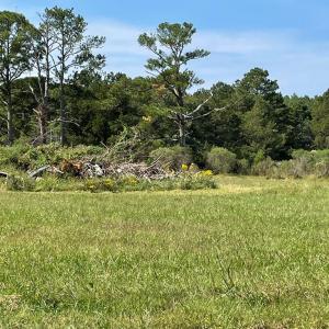 Photo #5 of Lot 55B BACK CREEK RD, HACKSNECK, VA 1.7 acres