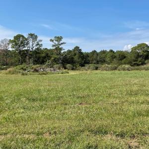 Photo #6 of Lot 55B BACK CREEK RD, HACKSNECK, VA 1.7 acres