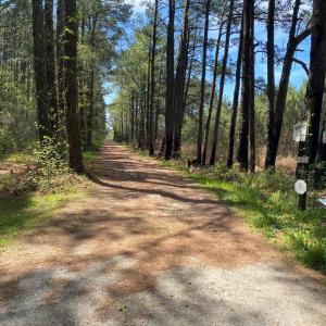 Entrance to private road off Backcreek