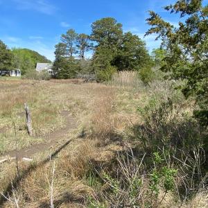 looking towards the end of the creek