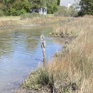 Looking towards the end of the creek