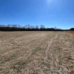Photo #14 of BENT CREEK ROAD, Amelia, VA 47.0 acres