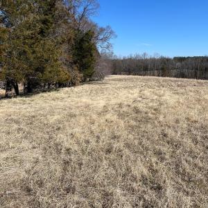 Photo #17 of BENT CREEK ROAD, Amelia, VA 47.0 acres