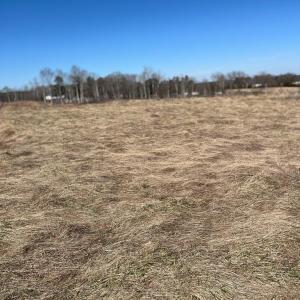 Photo #18 of BENT CREEK ROAD, Amelia, VA 47.0 acres