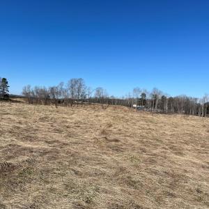 Photo #20 of BENT CREEK ROAD, Amelia, VA 47.0 acres