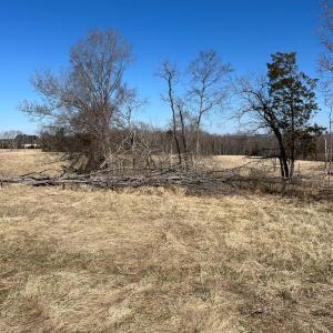 Photo #3 of BENT CREEK ROAD, Amelia, VA 47.0 acres