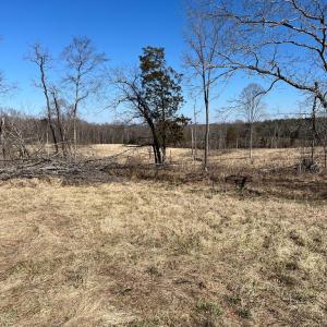 Photo #4 of BENT CREEK ROAD, Amelia, VA 47.0 acres