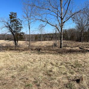 Photo #5 of BENT CREEK ROAD, Amelia, VA 47.0 acres