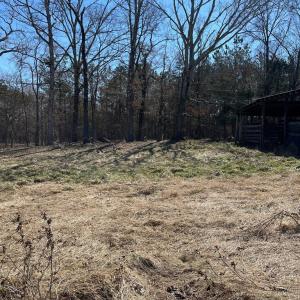 Photo #6 of BENT CREEK ROAD, Amelia, VA 47.0 acres