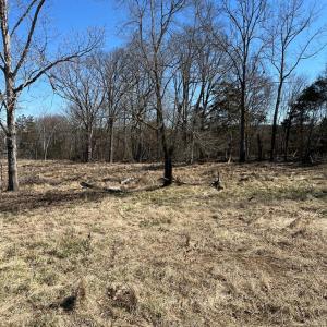 Photo #7 of BENT CREEK ROAD, Amelia, VA 47.0 acres