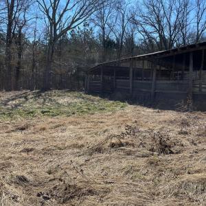 Photo #9 of BENT CREEK ROAD, Amelia, VA 47.0 acres