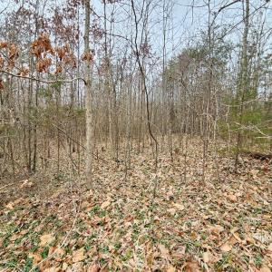 Photo #2 of 621 Evans Mill Rd, Dillwyn, VA 7.8 acres