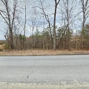 Photo #4 of 621 Evans Mill Rd, Dillwyn, VA 7.8 acres