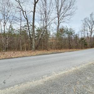 Photo #5 of 621 Evans Mill Rd, Dillwyn, VA 7.8 acres