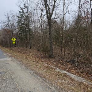 Photo #6 of 621 Evans Mill Rd, Dillwyn, VA 7.8 acres
