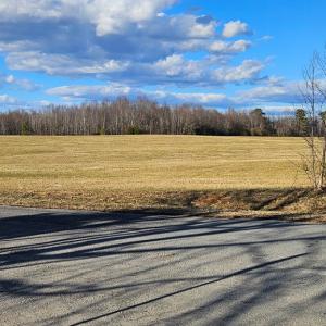 Photo #11 of 360 PATRICK HENRY HYW, Amelia Court House, VA 30.0 acres