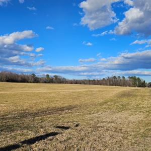 Photo #8 of 360 PATRICK HENRY HYW, Amelia Court House, VA 30.0 acres