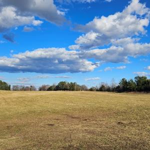 Photo #13 of 360 PATRICK HENRY HYWY, Amelia Court House, VA 27.8 acres
