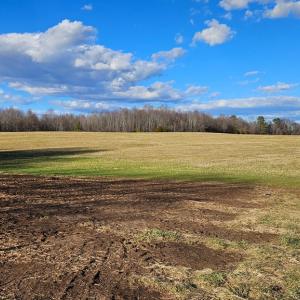 Photo #14 of 360 PATRICK HENRY HYWY, Amelia Court House, VA 27.8 acres