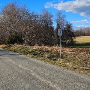 Photo #15 of 360 PATRICK HENRY HYWY, Amelia Court House, VA 27.8 acres