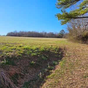 Photo #18 of 360 PATRICK HENRY HYWY, Amelia Court House, VA 27.8 acres
