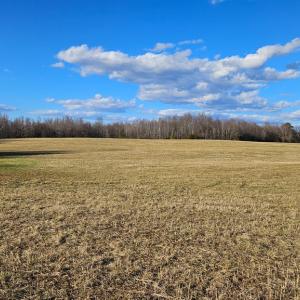 Photo #9 of 360 PATRICK HENRY HYWY, Amelia Court House, VA 27.8 acres