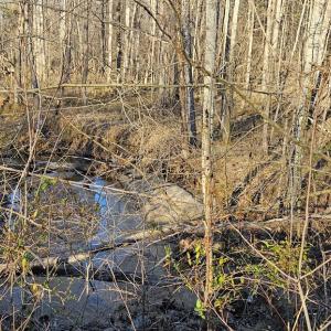 Photo #2 of 640 RICHARDSON ROAD, Amelia Court House, VA 79.1 acres