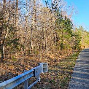 Photo #4 of 640 RICHARDSON ROAD, Amelia Court House, VA 79.1 acres