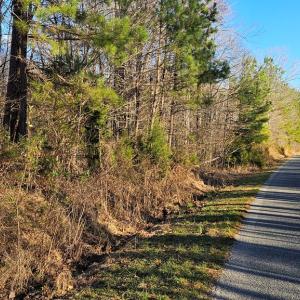 Photo #6 of 640 RICHARDSON ROAD, Amelia Court House, VA 79.1 acres