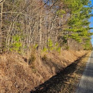 Photo #7 of 640 RICHARDSON ROAD, Amelia Court House, VA 79.1 acres