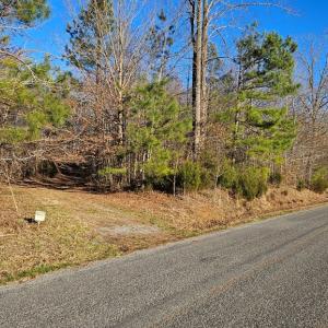 Photo #8 of 640 RICHARDSON ROAD, Amelia Court House, VA 79.1 acres