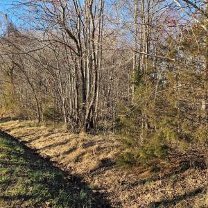 Photo #9 of 640 RICHARDSON ROAD, Amelia Court House, VA 79.1 acres